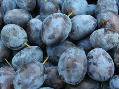 春季養生吃什么好? 春季養生小常識分享