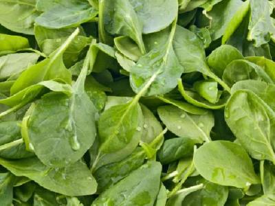 春季養生吃什么食物好 春季養生蔬菜推薦韭菜的幾種美味吃法