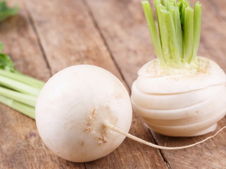 十月蘿卜賽人參 防癌抗癌