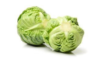 冬季吃什么豐胸?雞肉卷心菜豆制品-易網健康<a href=http://m.logojc.com/jkys/ target=_blank class=infotextkey>養生</a>網 冬季吃什么豐胸?雞肉卷心菜豆制品