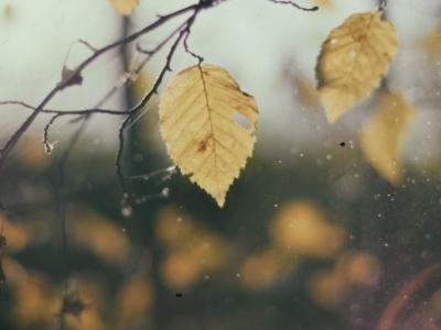 深秋養生，你該注意什么？