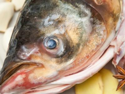 冬季多吃魚，吃魚的4好處