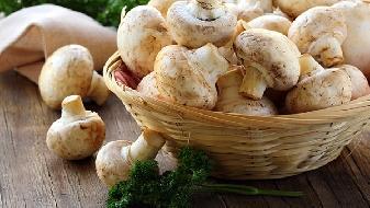 冬季養生正當時 中醫冬季養生8大食療方