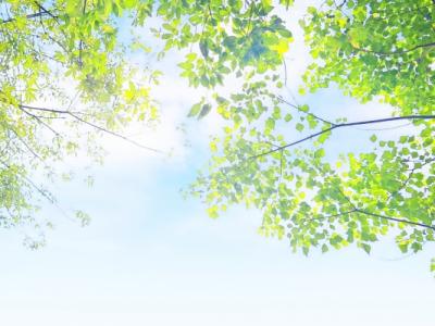 什么時(shí)候三伏天