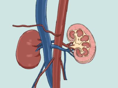 冬季怎么養腎補腎