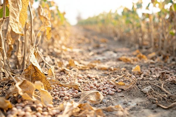 為什么會有閏六月-易網<a href=http://m.logojc.com/ target=_blank class=infotextkey>健康養生</a>網 為什么會有閏六月