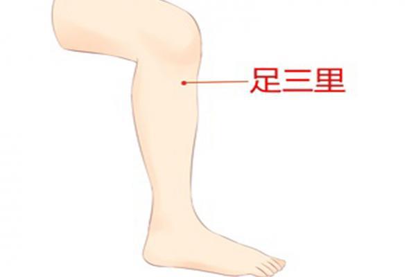 立冬時節(jié)有哪些養(yǎng)生穴位可以按摩-易網(wǎng)<a href=http://m.logojc.com/ target=_blank class=infotextkey>健康養(yǎng)生</a>網(wǎng) 立冬時節(jié)有哪些養(yǎng)生穴位可以按摩