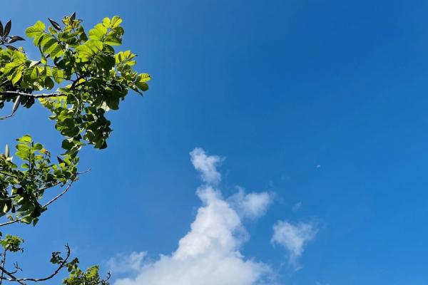 老年人中暑怎么辦