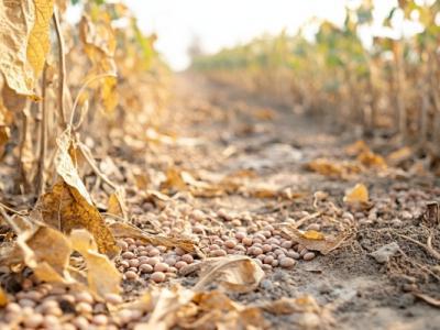 為什么會有閏六月