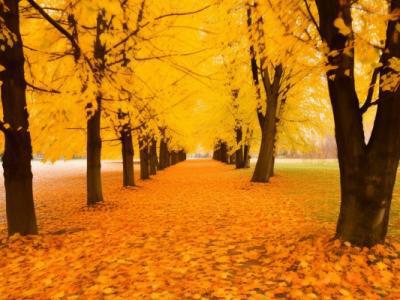 秋分是幾月幾日