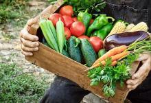 護眼:3類營養(yǎng)讓您的眼睛保持健康