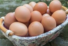 幫您預(yù)防近視的護(hù)眼飲食