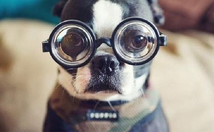 造成兒童青少年近視的四大原因! 造成兒童青少年近視的四大原因!