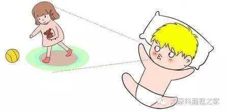 寶寶的視力發育過程及檢查方法