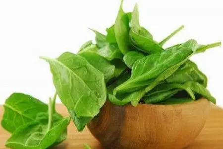 眼睛干、累？別急，吃這些可以緩解！