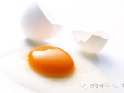 認識眼部營養食物來源