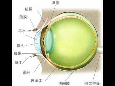 如何預(yù)防角膜炎？