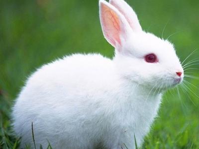 警惕夏季7大高發病!