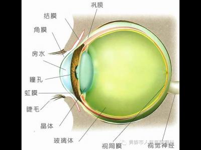 眼科科普，關于青光眼那些事兒