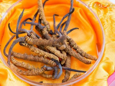 蕁麻疹有什么食療偏方