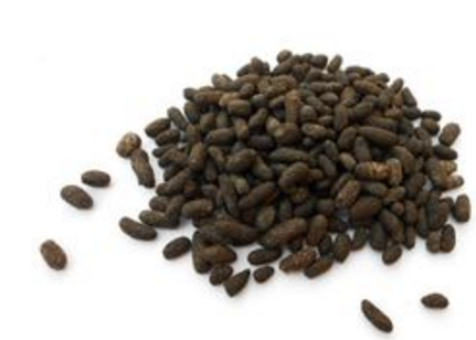 五靈脂的功效與作用及禁忌_副作用及食用方法