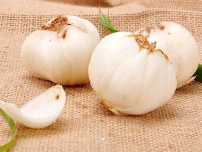 鮮百合哪些人不能吃