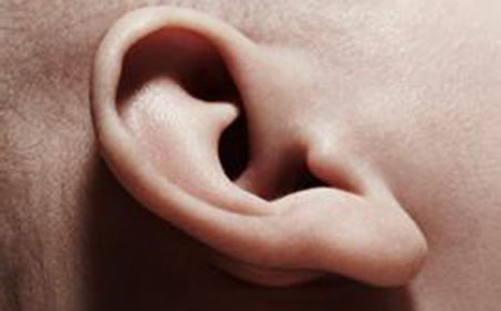 耳朵上長了一個肉疙瘩