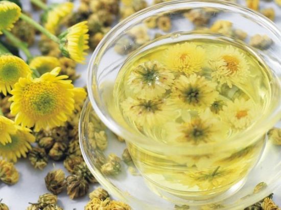 哪些人不能喝金絲皇菊