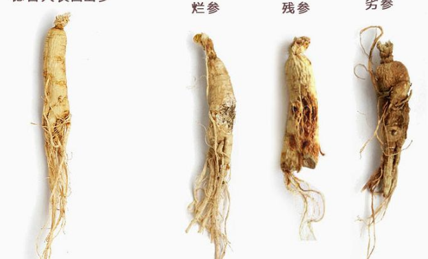 人參枸杞子泡酒壯陽嗎