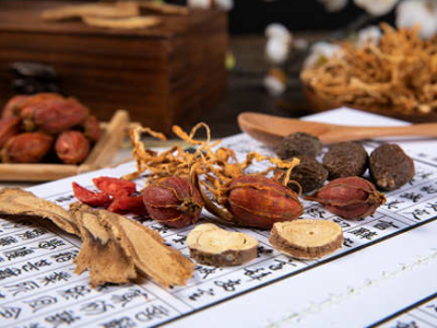 最適合補氣養血的幾款食物