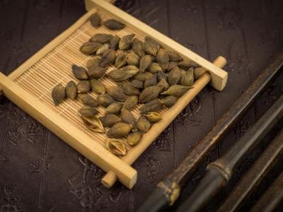 蒼耳草可以治什么病【6種最好的偏方】痢疾風濕鼻炎腸胃炎