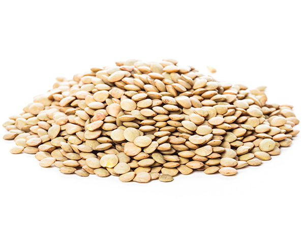 扁豆花的功效與作用?野扁豆的功效與作用-易網(wǎng)健康<a href=http://m.logojc.com/jkys/ target=_blank class=infotextkey>養(yǎng)生</a>網(wǎng) 扁豆花的功效與作用?野扁豆的功效與作用