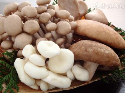 人體中有微生物嗎