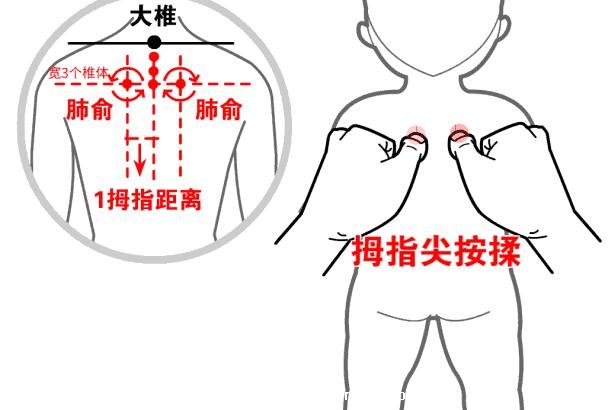 穴位肺俞的準(zhǔn)確位置圖片和功效,2個(gè)找肺俞最笨方法(止咳化痰)-易網(wǎng)健康養(yǎng)生網(wǎng) 穴位肺俞的準(zhǔn)確位置圖片和功效,2個(gè)找肺俞最笨方法(止咳化痰)