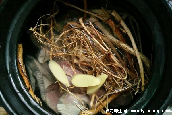 五指毛桃的副作用太大了,中毒反應肝損傷7大危害(六種人不宜吃)-易網<a href=http://m.logojc.com/ target=_blank class=infotextkey>健康養生</a>網 五指毛桃的副作用太大了,中毒反應肝損傷7大危害(六種人不宜吃)