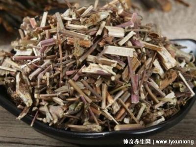 荊芥的十大神奇功效，治療風熱頭痛/咽喉腫痛(能抗過敏/消疹止癢)