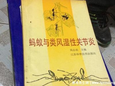 黑螞蟻治療類風濕配方，螞蟻消痹湯(類風濕性關(guān)節(jié)炎的克星)