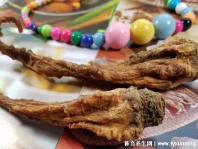 藏雪參的功效與作用吃法，預防高血糖/延年益壽(可泡水喝/煲湯)