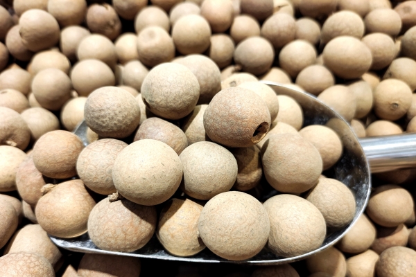 當歸搭配什么食材養(yǎng)血效果最好