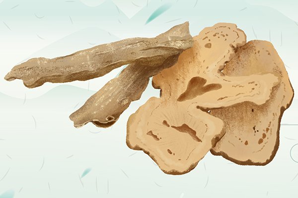 當歸不適合哪些人吃