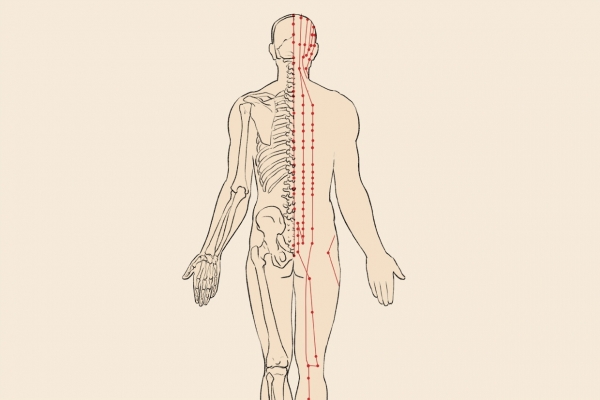 飛揚的位置與作用和功效