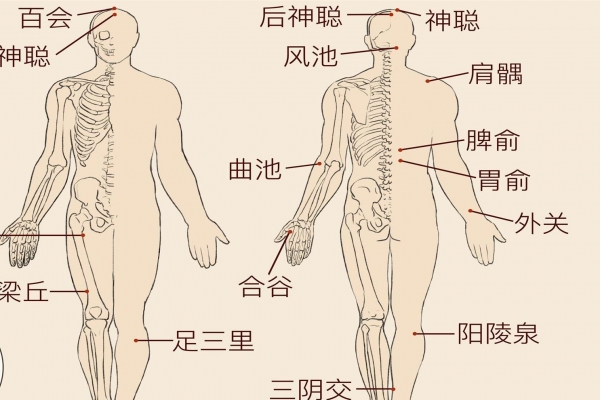三陰交的準(zhǔn)確位置
