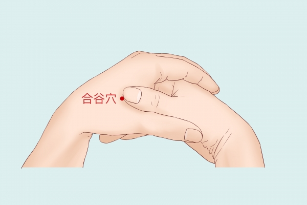 合谷穴位置
