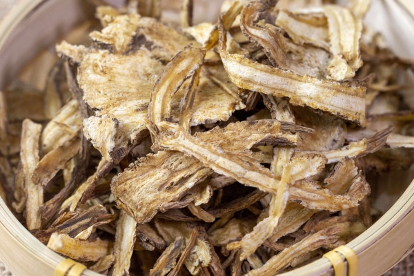 老年人服用當歸有何益處-易網<a href=http://m.logojc.com/ target=_blank class=infotextkey>健康養生</a>網 老年人服用當歸有何益處