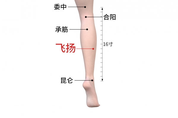 飛揚的位置與作用和功效