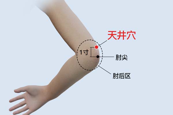 天井的位置和功效與作用-易網<a href=http://m.logojc.com/ target=_blank class=infotextkey>健康養生</a>網 天井的位置和功效與作用