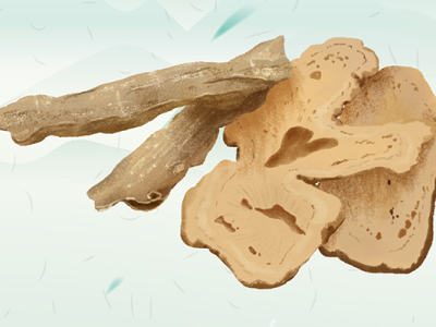 男性吃當(dāng)歸有好處嗎