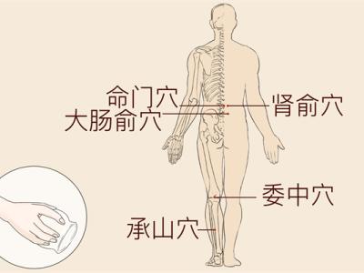 陰陵泉準(zhǔn)確位置